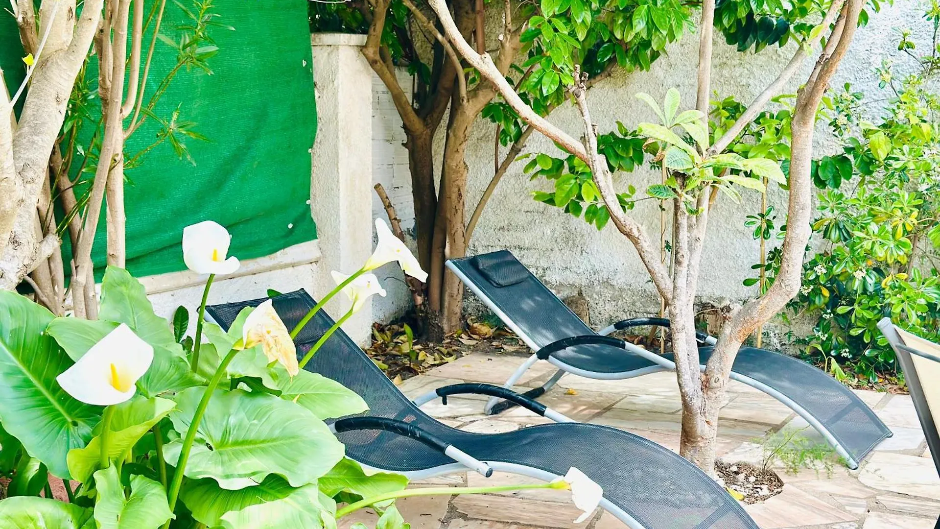 Global Immo 5060 Casa Petite Villa Roses Holiday home